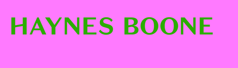 hayne-boone-logo